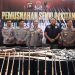 Polda Sumsel Musnahkan Ratusan Senjata Api Hasil Ops Senpi Musi 2026